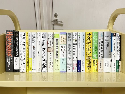 買取商品画像260804-2